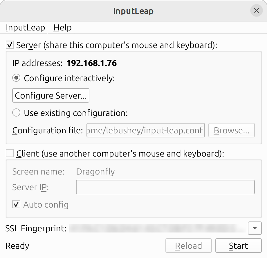 Input Leap server dialog box